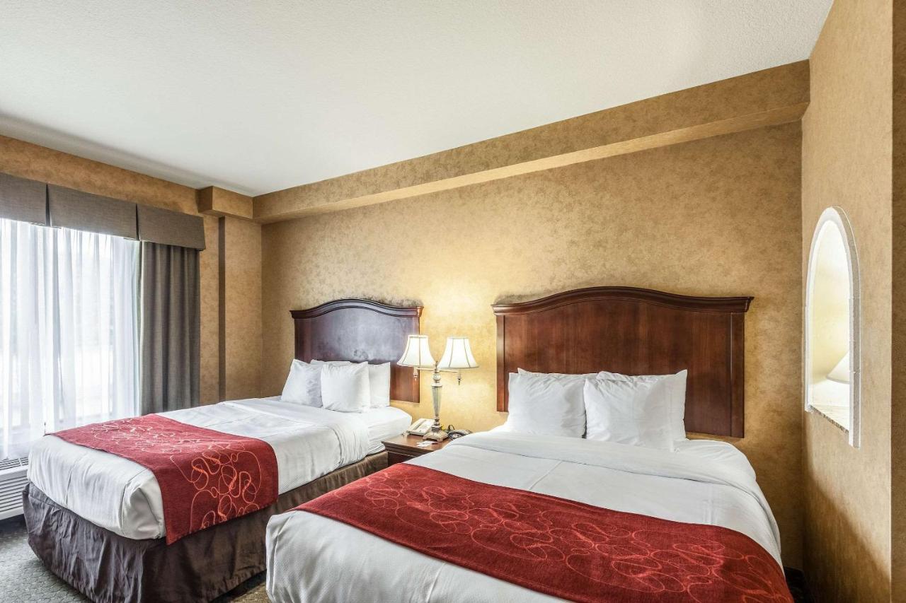 Comfort Suites Alamo-River Walk San Antonio Zewnętrze zdjęcie