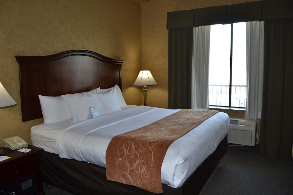Comfort Suites Alamo-River Walk San Antonio Zewnętrze zdjęcie